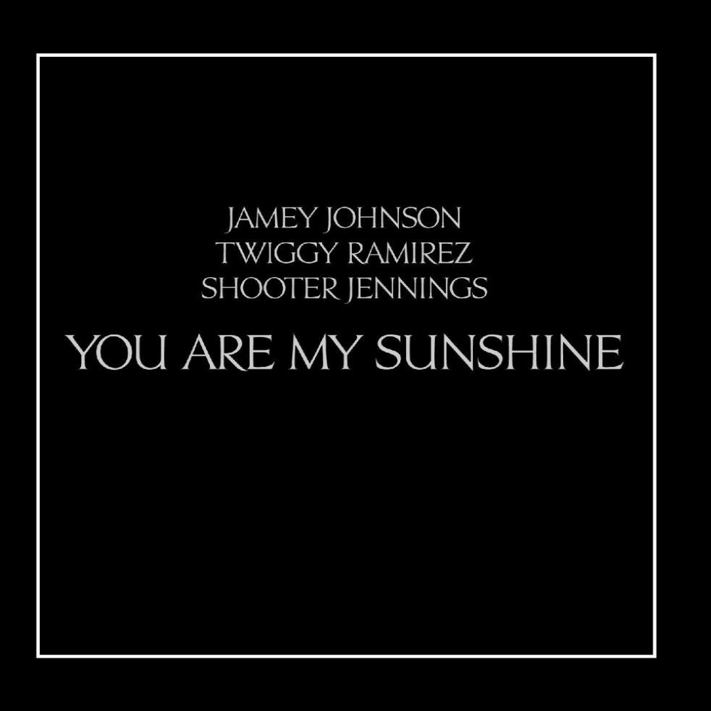 You Are My Sunshine (12 Inch Vinyl)
