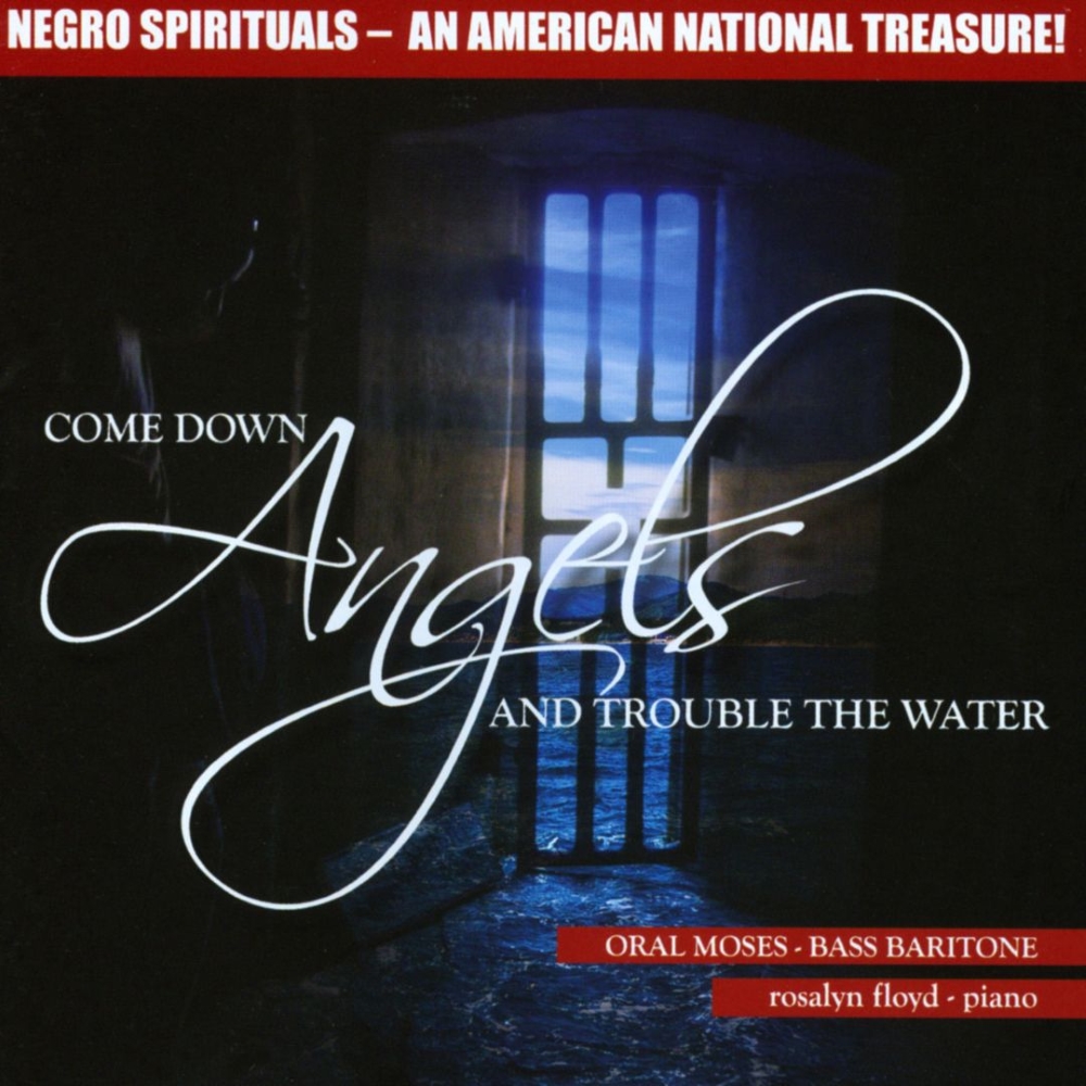 (image for) Come Down Angels and Trouble the Water