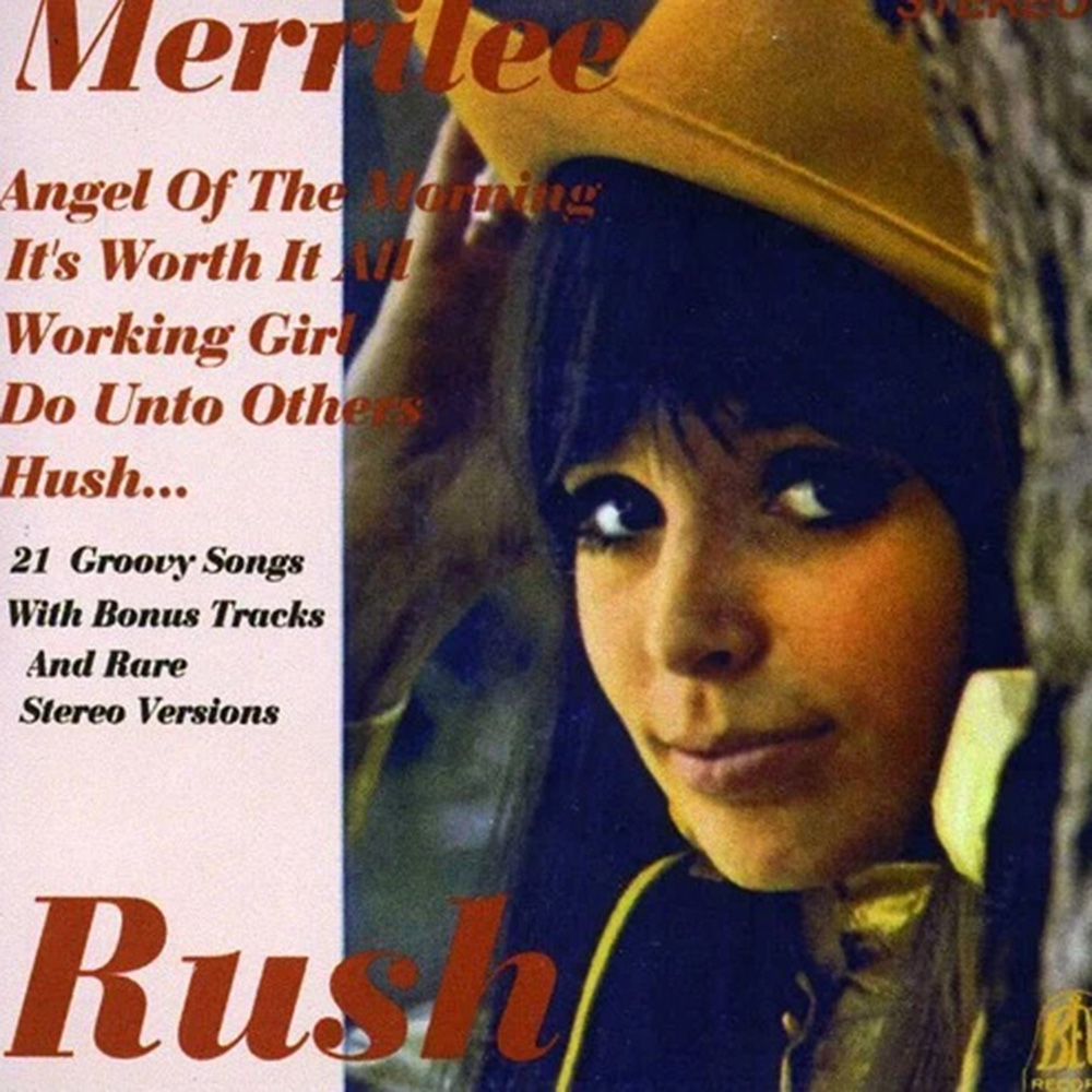 (image for) 21 Groovy Songs with Bonus Tracks and Rare Stereo Versions