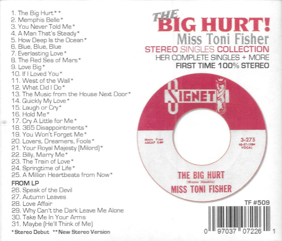 (image for) Big Hurt-Stereo Singles Collection-31 Cuts-30 Stereo Debuts