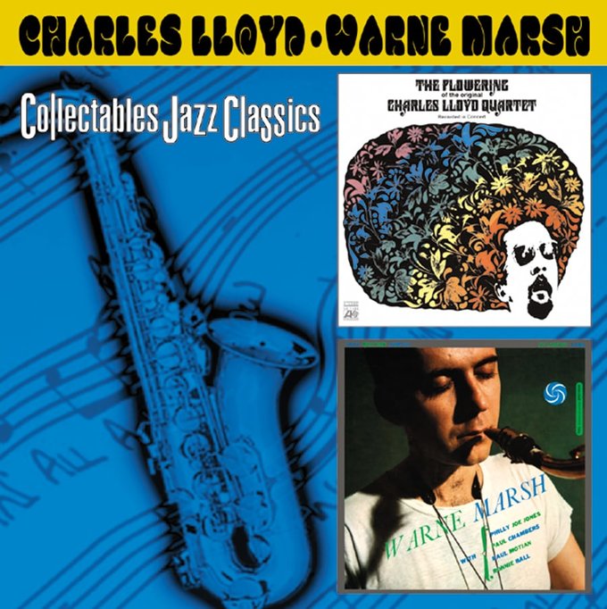 (image for) Flowering / Warne Marsh