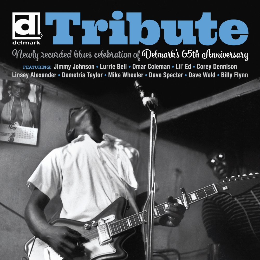 Tribute-Newly Recorded Blues Celebration of Delmark's 65th Anniversary (LP) - Click Image to Close