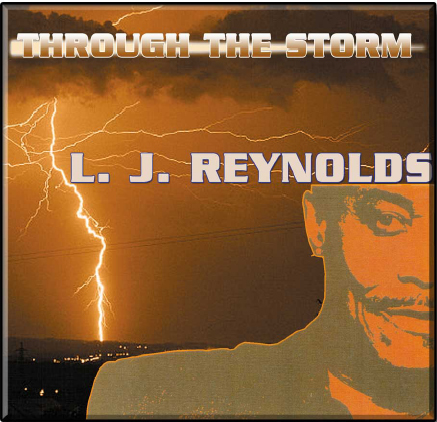 (image for) Through The Storm