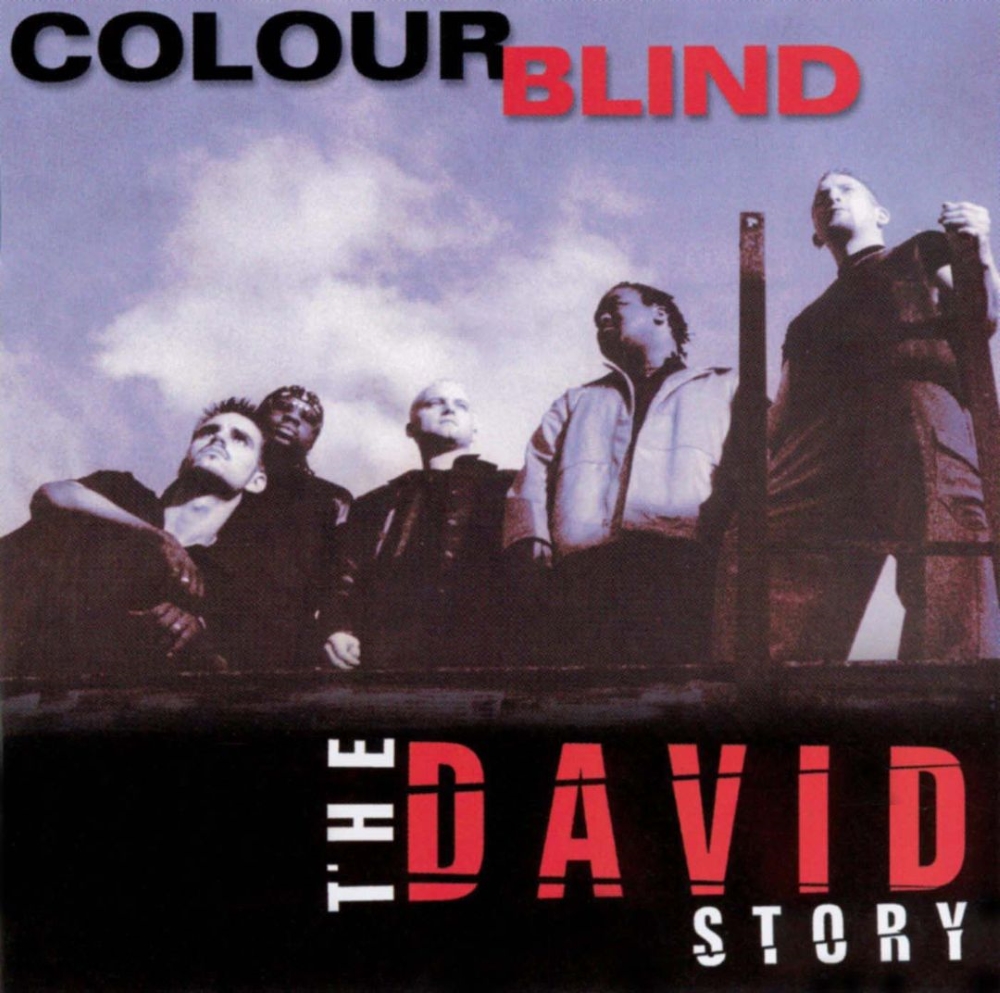(image for) The David Story (Cassette)