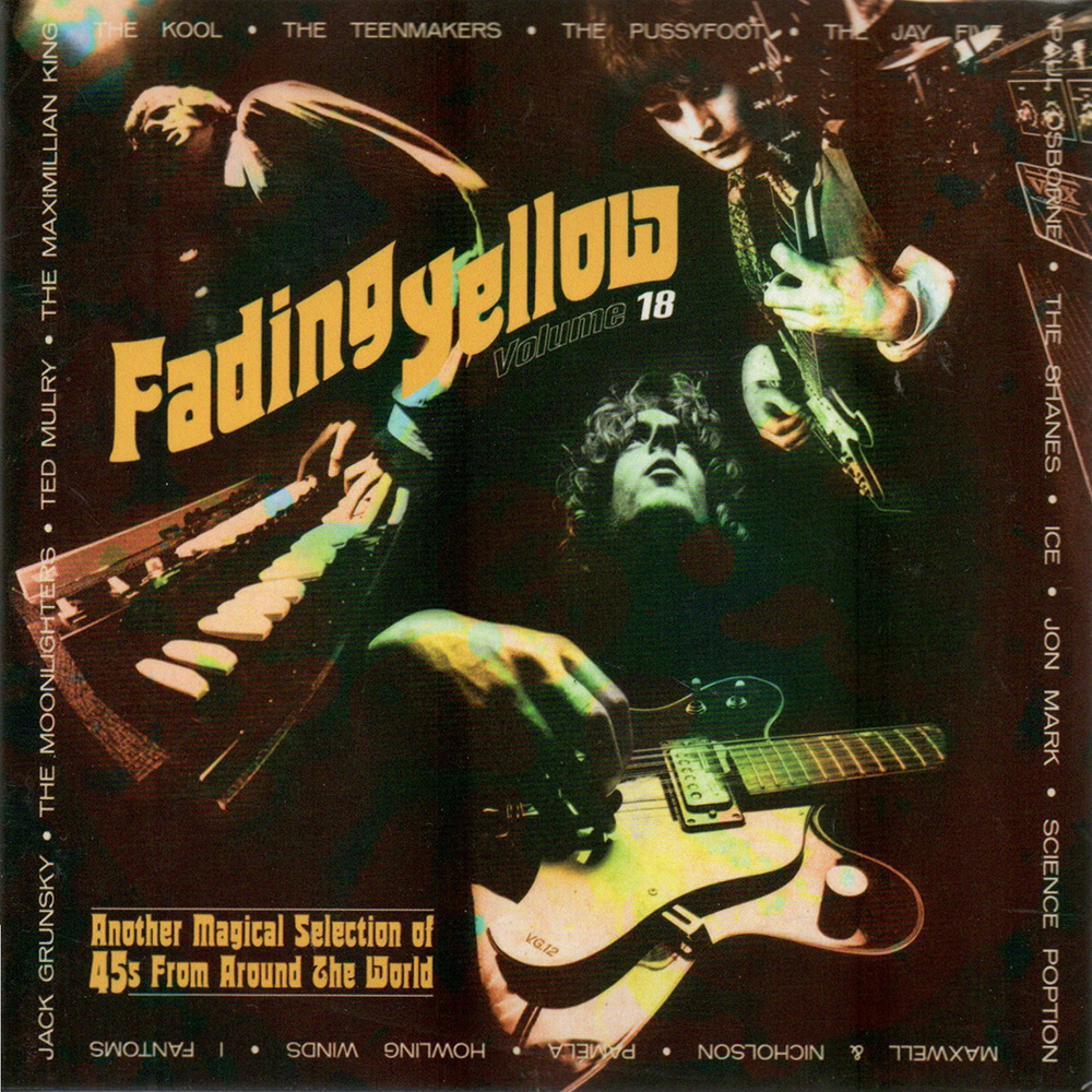 (image for) Fading Yellow, Vol. 18