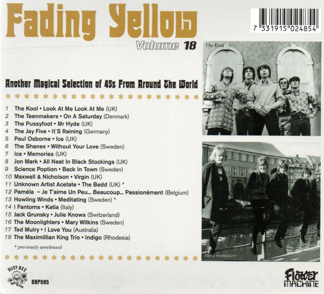 (image for) Fading Yellow, Vol. 18