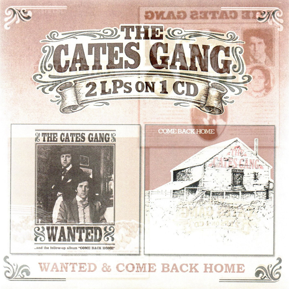 (image for) 2 LPs on 1 CD: Wanted / Come Back Home