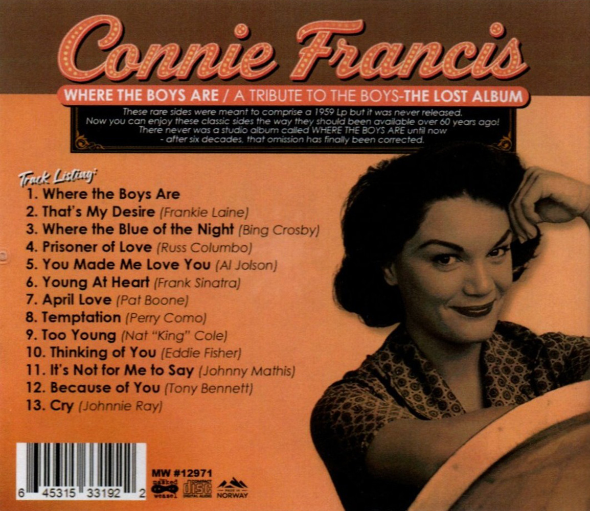 (image for) Where the Boys Are / A Tribute to The Boys - The Lost Album