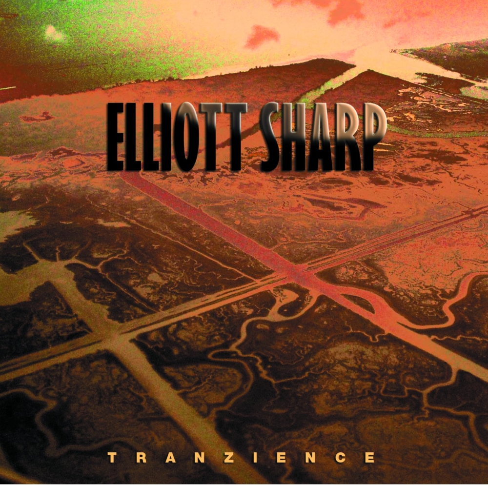 Elliott Sharp-Tranzience