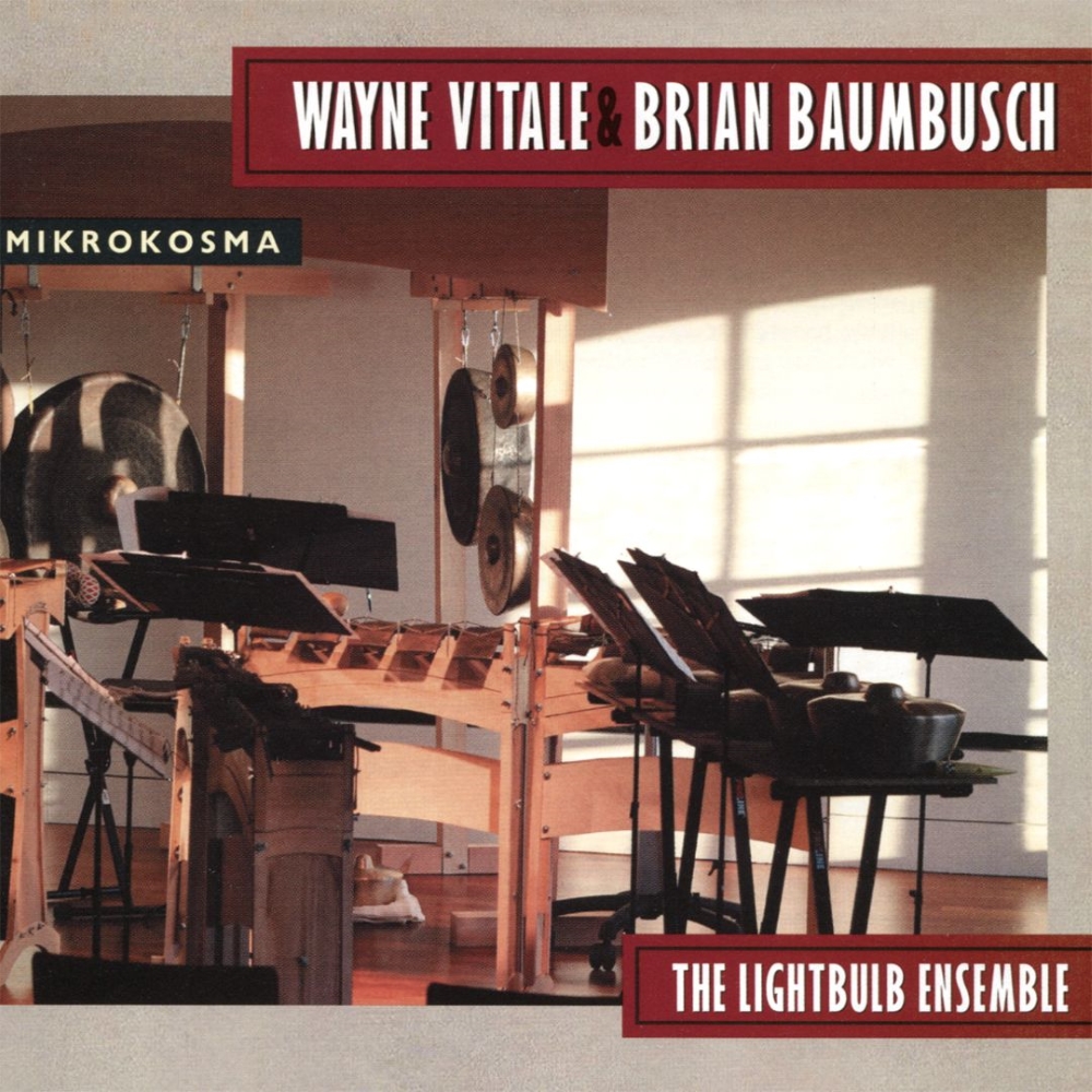Wayne Vitale & Brian Baumbusch-Mikrokosma