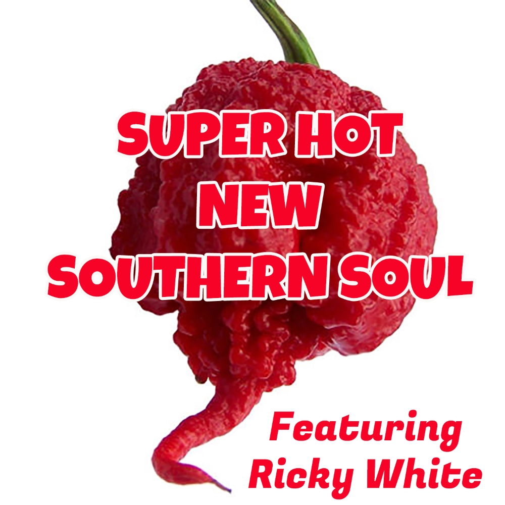 (image for) Super Hot New Southern Soul - Click Image to Close