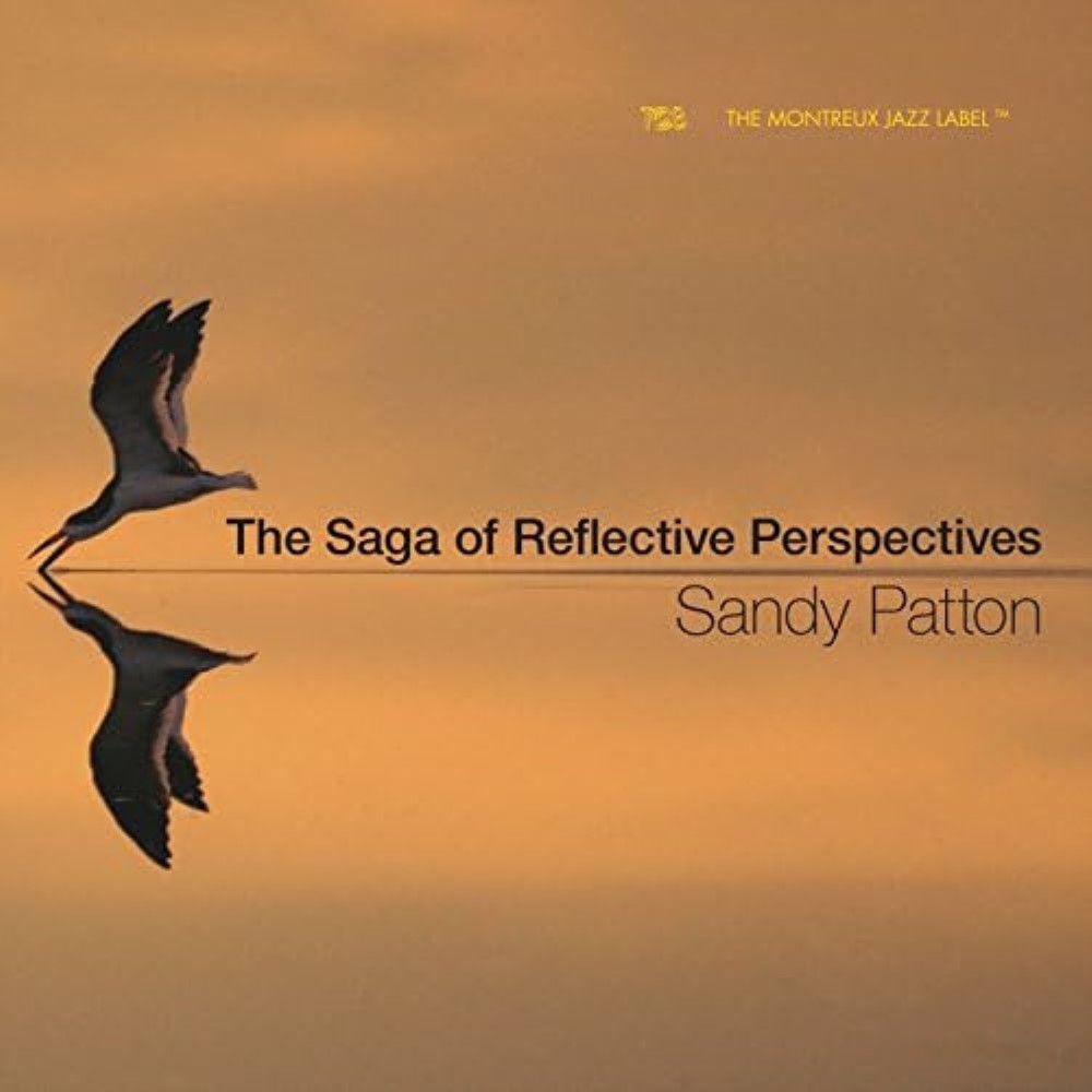 (image for) Saga Of Reflective Perspective