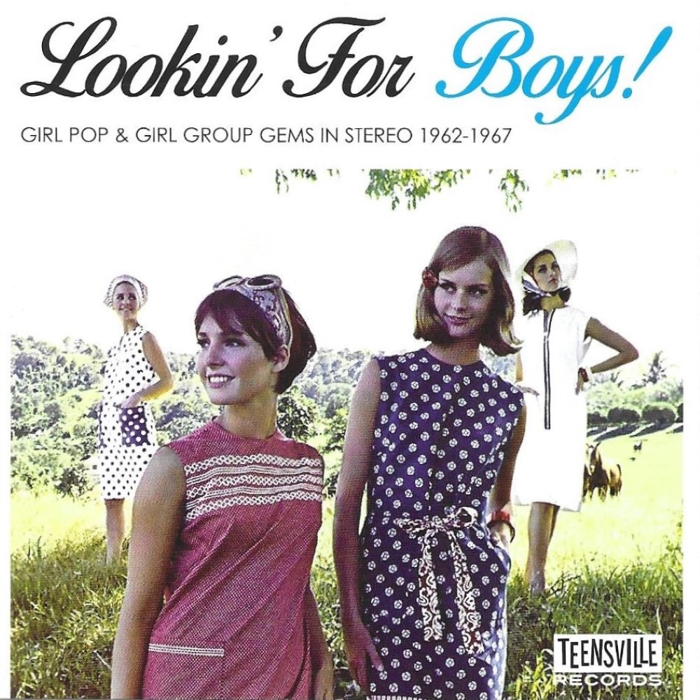 Lookin' For Boys!: Girl Pop & Girl Group Gems In Stereo 1962-1967 - Click Image to Close
