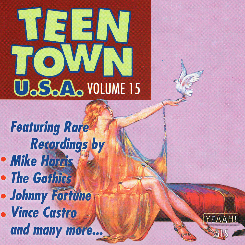 (image for) Teen Town USA, Vol. 15