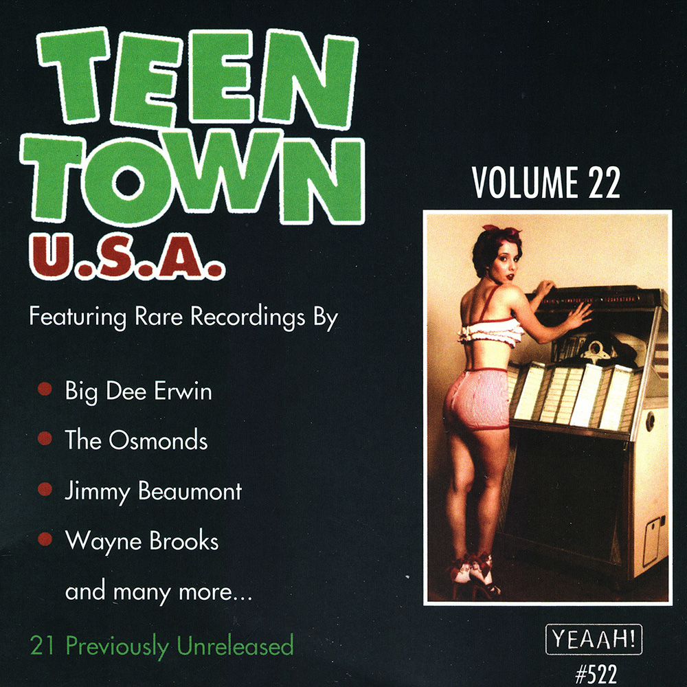 (image for) Teen Town USA, Vol. 22