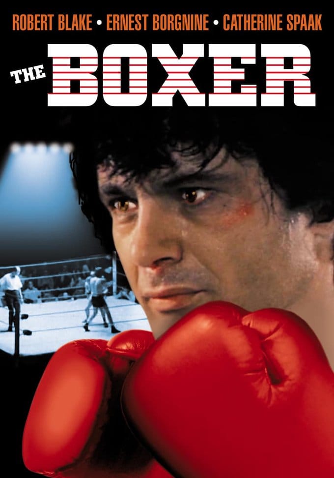 The Boxer (DVD)