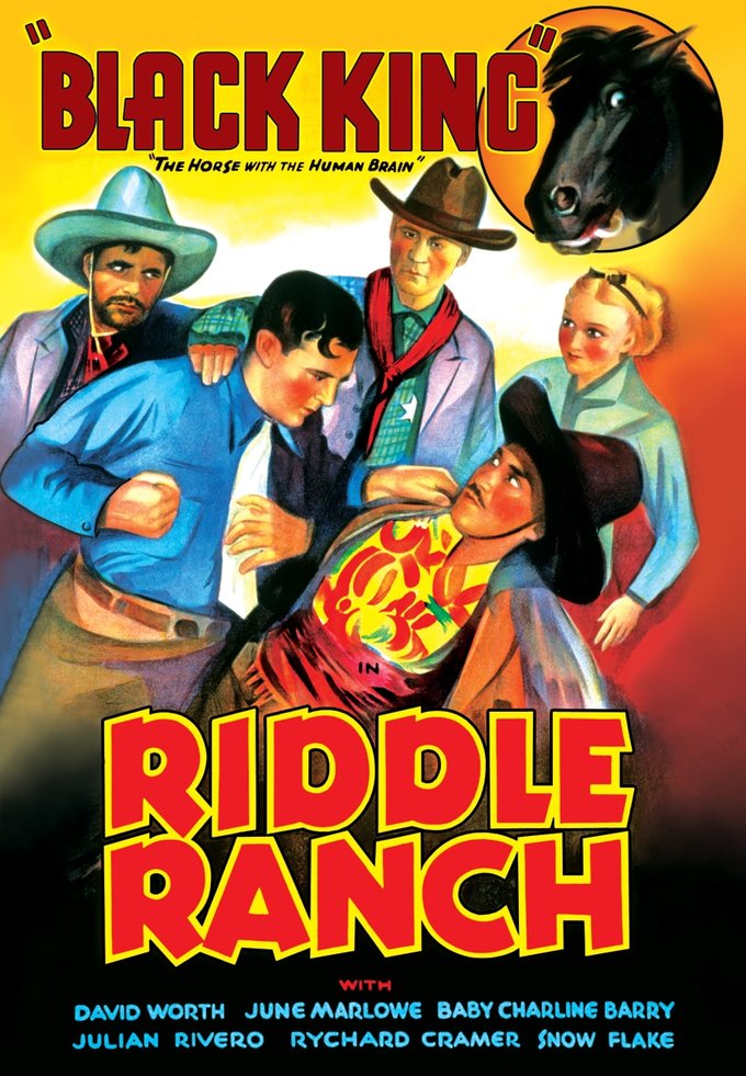(image for) Riddle Ranch (DVD)