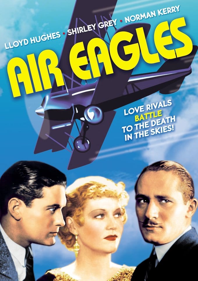 Air Eagles (DVD)