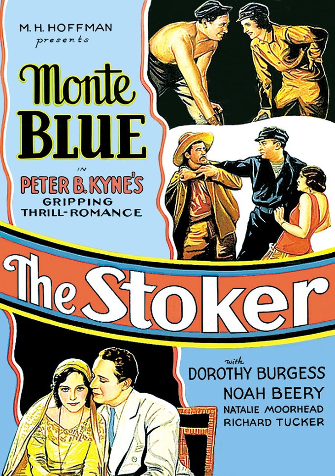 The Stoker (DVD)