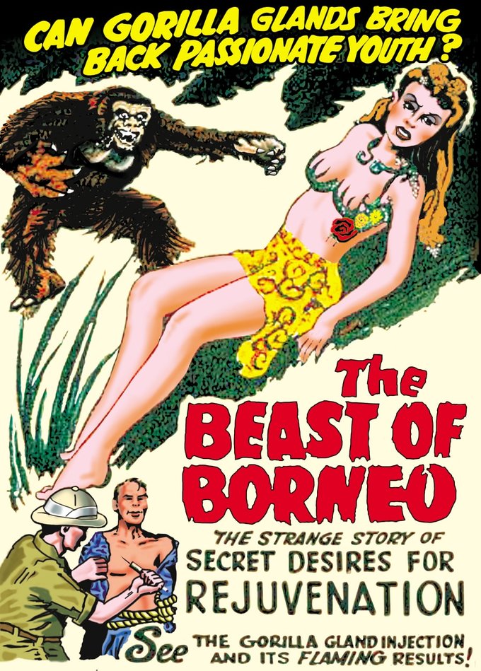 The Beast Of Borneo (DVD)