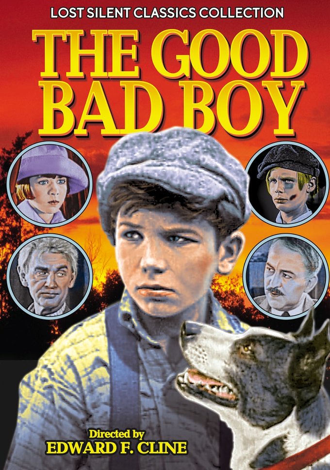 The Good Bad Boy (DVD)