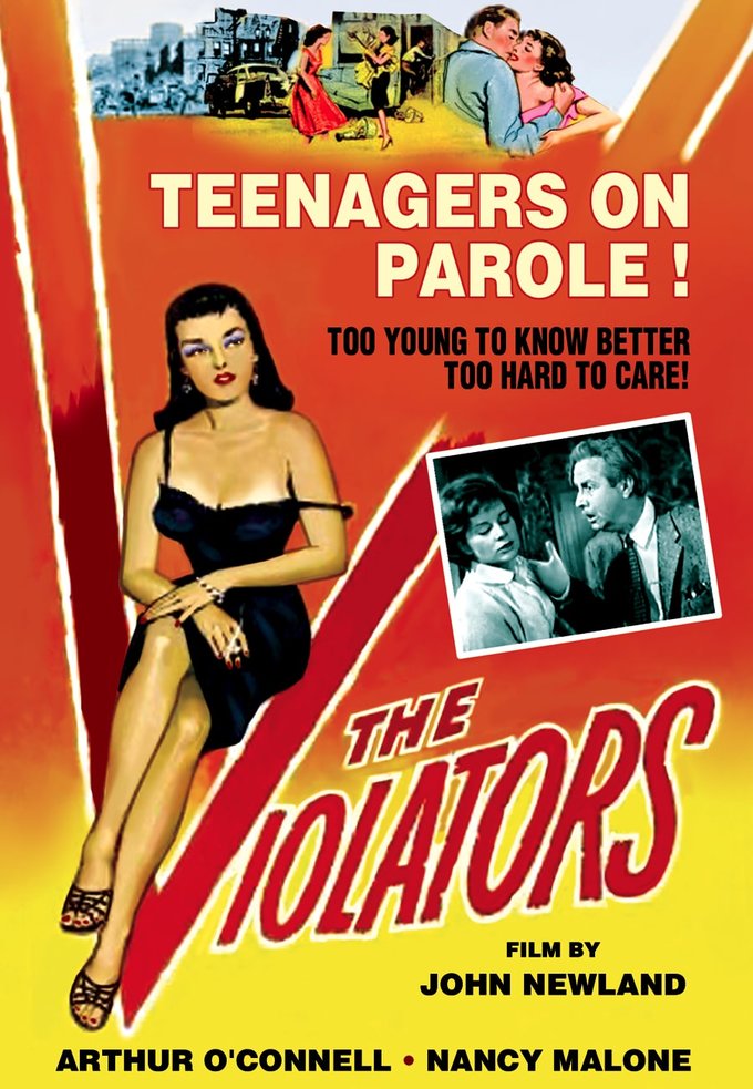 The Violators (DVD)