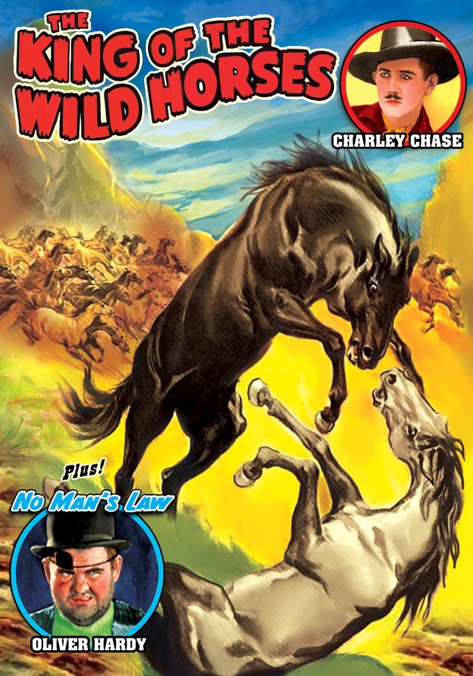 The King Of The Wild Horses / No Man's Law (DVD)