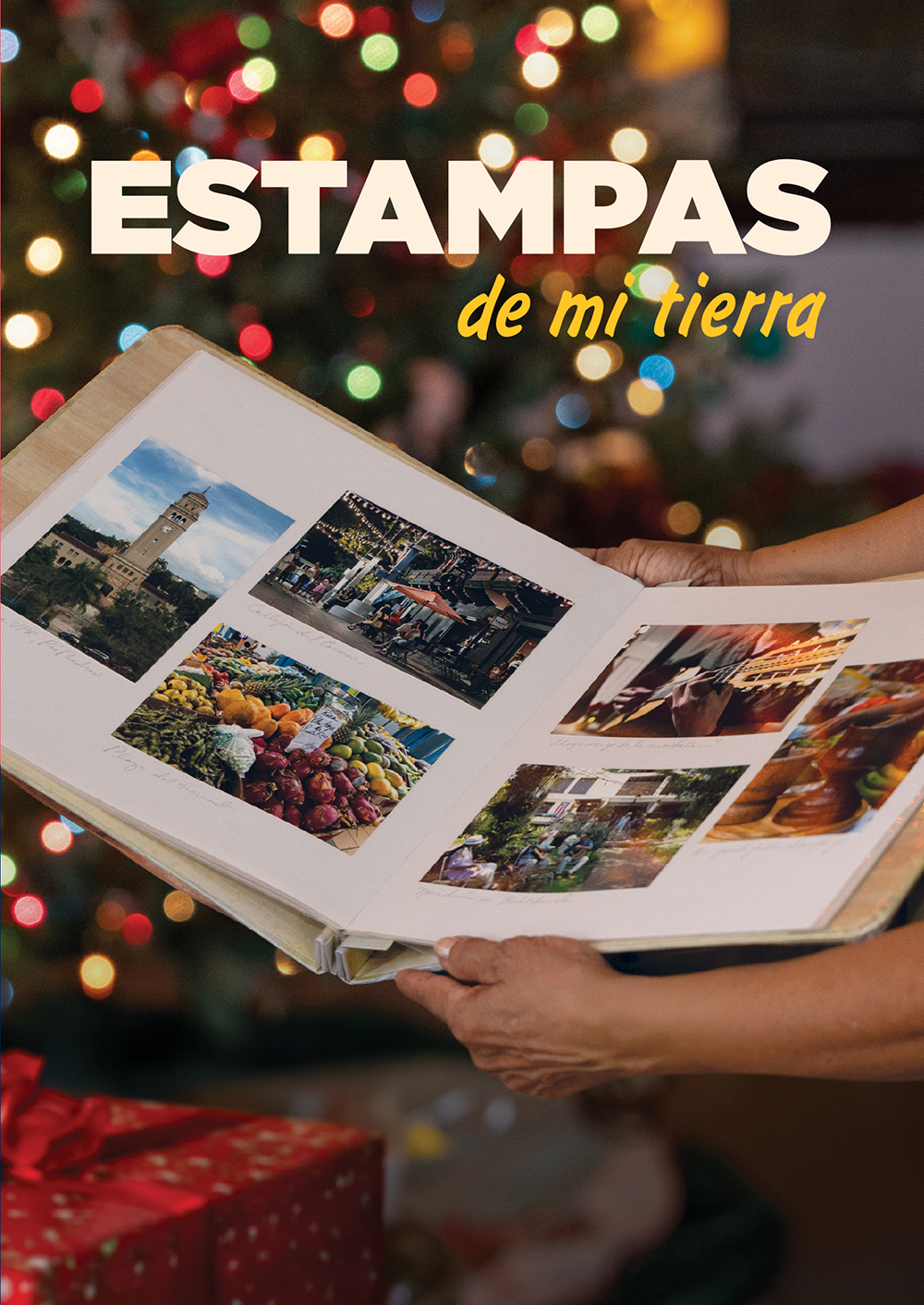 (image for) Estampas De Mi Tierra (DVD)
