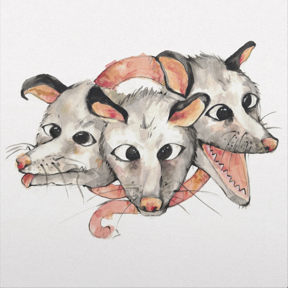 Opossums (12" Vinyl)