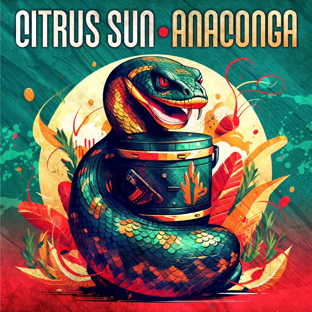 (image for) Anaconga (LP)