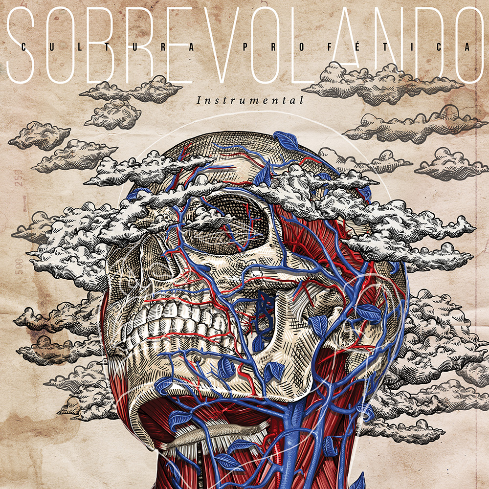 (image for) Sobrevolando: Instrumental (2 LP)