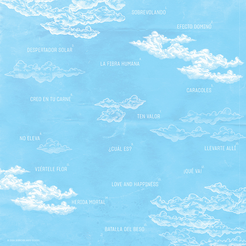 (image for) Sobrevolando: Instrumental (2 LP)